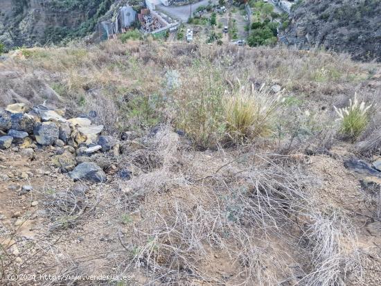 TROCITO DE TERRENO RUSTICO GÜÍMAR - SANTA CRUZ DE TENERIFE