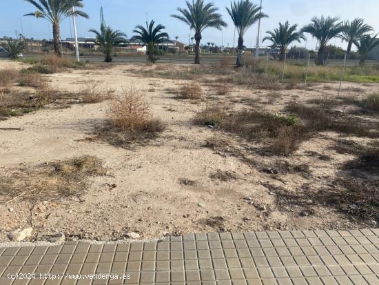 Exclusiva Parcela de 250 metros en La Torreta, Elche - ALICANTE