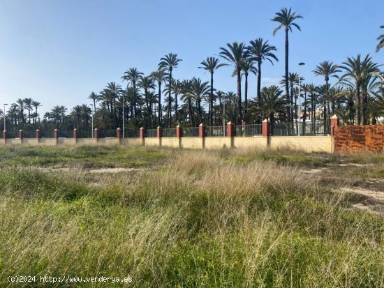 Exclusiva Parcela de 250 metros en La Torreta, Elche - ALICANTE