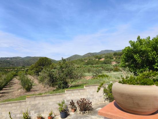 Casa con terreno en plena naturaleza en Alcover! - TARRAGONA