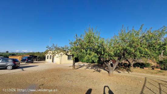 !Bienvenido a tu oasis de luz y naturaleza en La Selva del Camp! Tarragona - TARRAGONA