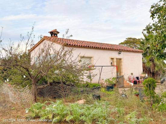 Finca en Riudoms! - TARRAGONA