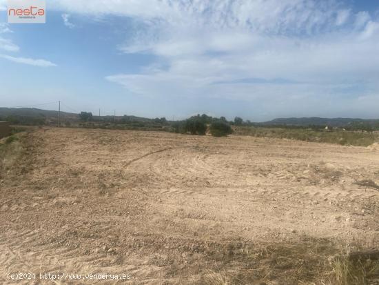 CASA A REFORMAR CON PARCELA EN PARAJE DE LAS CANALES, LORCA - MURCIA