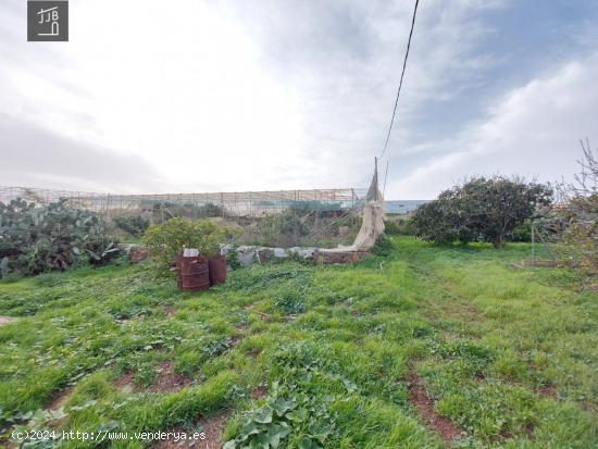 TERRENO URBANO CONSOLIDADO EN GENETO, LA LAGUNA. - SANTA CRUZ DE TENERIFE