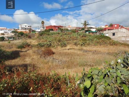 TERRENO URBANO CONSOLIDADO EN TACORONTE, GUAYONJE. - SANTA CRUZ DE TENERIFE