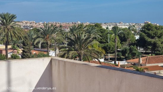 Apartamento en venta en Torrevieja (Alicante)