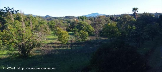 Solar en venta en Estepona (Málaga)