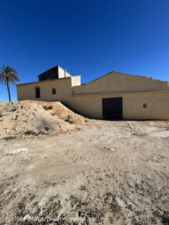 Finca en venta en Aspe (Alicante)