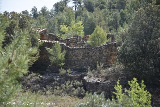 Finca en la montaña con posibilidad de construir - TERUEL