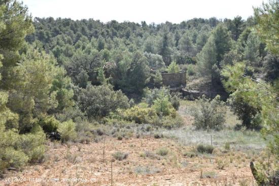 Finca en la montaña con posibilidad de construir - TERUEL