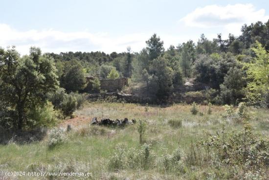 Finca en la montaña con posibilidad de construir - TERUEL