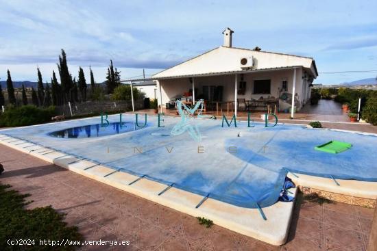 FINCA CON CASA GRANDE, PARCELA Y ARBOLES FRUTALES - MURCIA