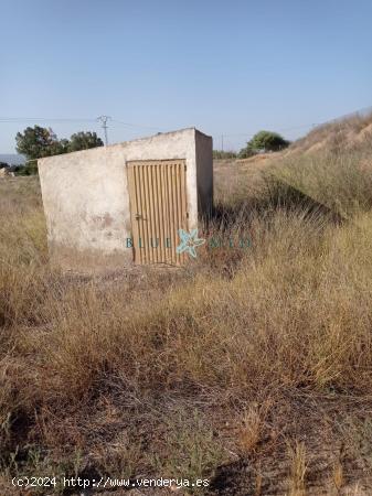 TERRENO CON BALSÓN Y CASETA EN ALHAMA DE MURCIA - MURCIA