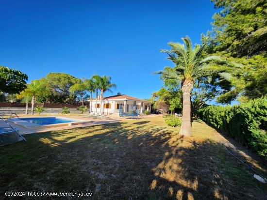 OPORTUNIDAD GRAN CHALET CON PISCINA Y PRECIOSO JARDIN - ALICANTE