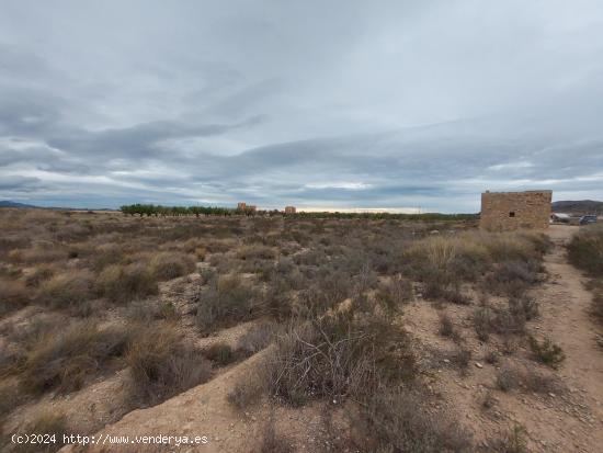 SE VENDE TERRENO CERCA DE SAN VICENTE DEL RASPEIG - ALICANTE