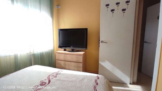 Piso en venta  en Ripoll - Girona