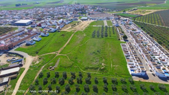  Suelo urbanizable en Venta en Gerena Sevilla 