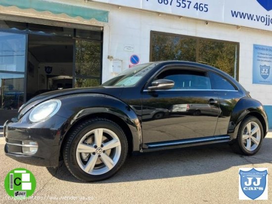 VOLKSWAGEN Beetle en venta en Mejorada del
Campo (Madrid) - Mejorada del
Campo