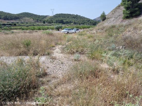 TERRENO RUSTICO PARCELA EN CAÑADA MINCHOT MONOVAR - ALICANTE