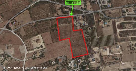 SE VENDE TERRENO RÚSTICO AGRICOLA PARA CONSTRUIR NUEVO CHALET - ALICANTE