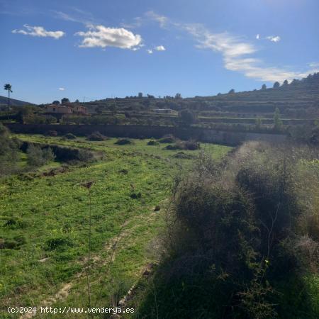 ▷Parcela Rústica Vistas al Mar Alicante Costa Blanca - ALICANTE