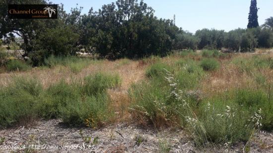  SE VENDE PARCELA DE 17.000 M2 EN PARTIDA MATOLA - ALICANTE 