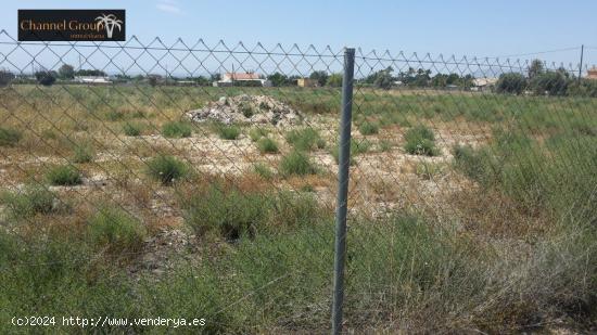 SE VENDE PARCELA DE 17.000 M2 EN PARTIDA MATOLA - ALICANTE