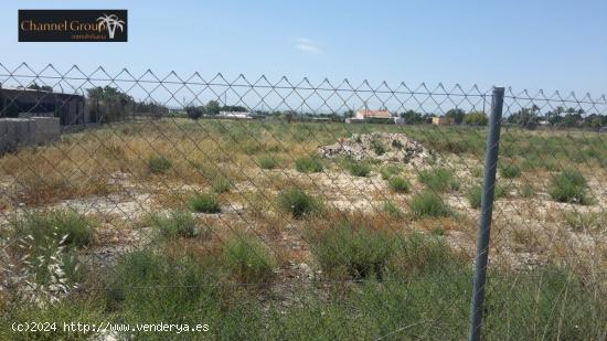 SE VENDE PARCELA DE 17.000 M2 EN PARTIDA MATOLA - ALICANTE