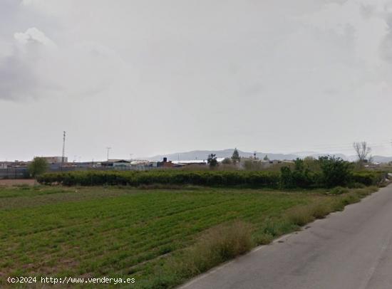 SE VENDE TERRENO RUSTICO EN ZARANDONA - MURCIA