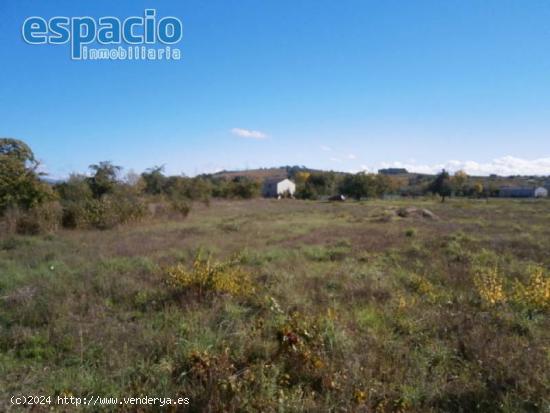  SE VENDE FINCA EN CACABELOS - LEON 