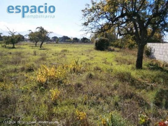 SE VENDE FINCA EN CACABELOS - LEON