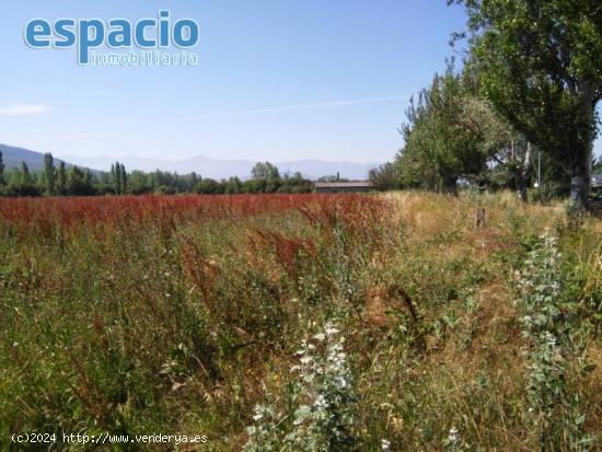  FINCA A LA VENTA EN BARCENA DEL BIERZO - LEON 