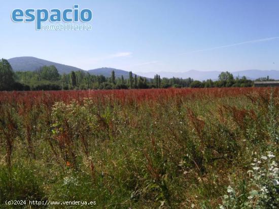 FINCA A LA VENTA EN BARCENA DEL BIERZO - LEON