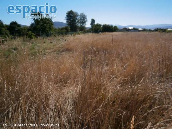 VENTA TERRENO EN CUATROVIENTOS - LEON