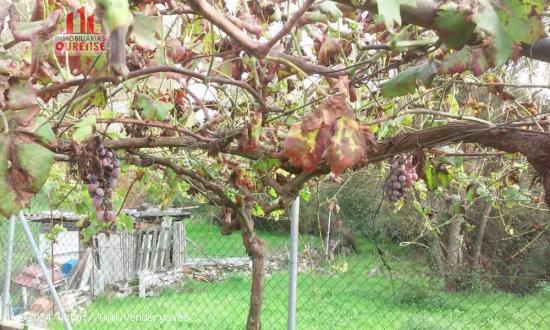 FINCA RÚSTICA PRÓXIMA A SEIXALBO - ORENSE