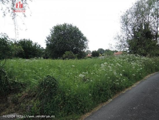 FINCA URBANIZABLE PRÓXIMA A BÓVEDA - ORENSE