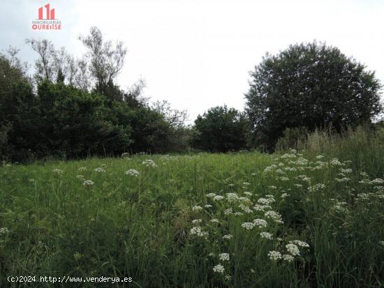 FINCA URBANIZABLE PRÓXIMA A BÓVEDA - ORENSE