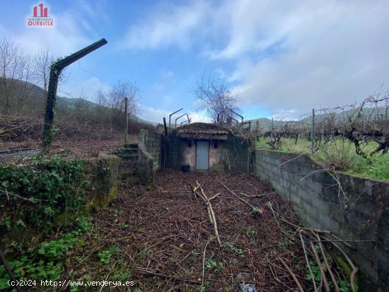  FINCA RUSTICA CON VISTAS AL RÍO MUY CERCA DE RIBADAVIA. - ORENSE 