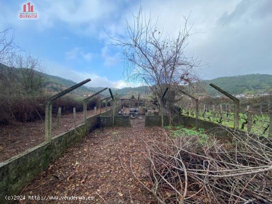 FINCA RUSTICA CON VISTAS AL RÍO MUY CERCA DE RIBADAVIA. - ORENSE