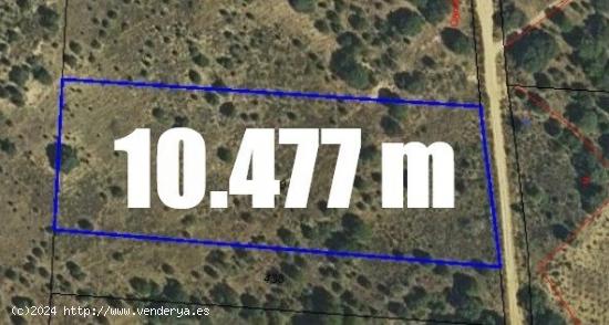  TERRENO RUSTICO EN VENTA EN EL TERMINO LAS MARBANAS, TORO - ZAMORA 