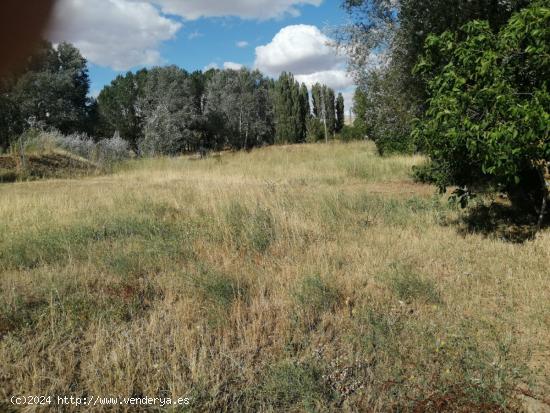  FINCA RUSTICA CON REFUGIO EN LA HINIESTA - ZAMORA 