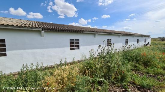  FINCA RUSTICA CON NAVE EN MORALES DEL VINO - ZAMORA 