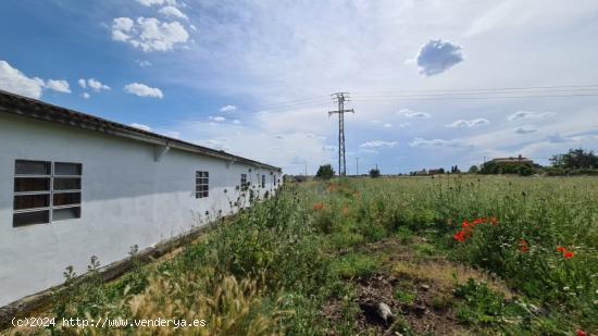 FINCA RUSTICA CON NAVE EN MORALES DEL VINO - ZAMORA