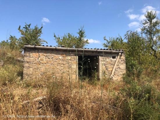  FINCA RUSTICA EN BOT CON MASIA DE PIEDRA - TARRAGONA 