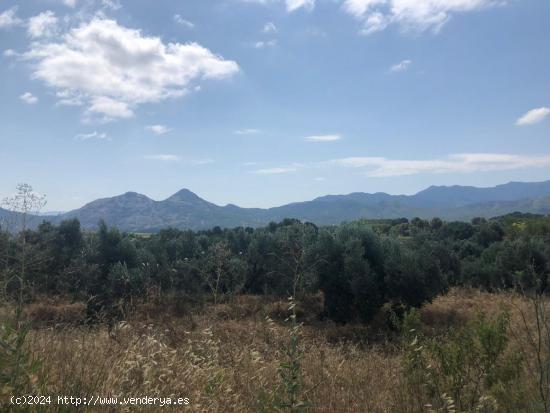 FINCA RUSTICA EN BOT CON MASIA DE PIEDRA - TARRAGONA