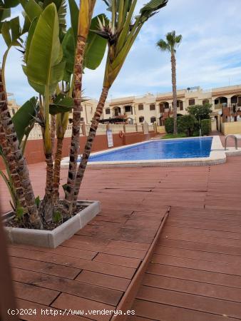  TORREVIEJA 2HABS, PISCINA Y GRAN SOLARIUM PRIVADO 104.900€ - ALICANTE 