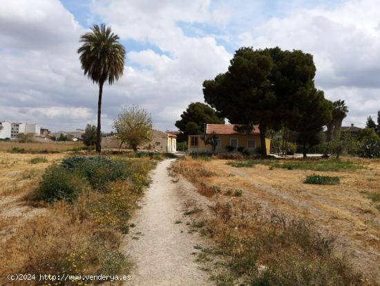 Se vende terreno grande en Patiño, muy central, con 2 casas - MURCIA