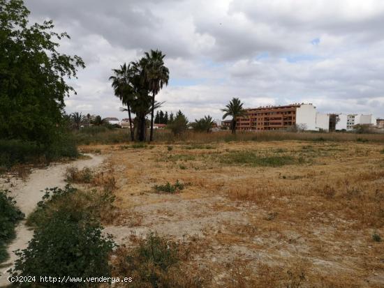 Se vende terreno grande en Patiño, muy central, con 2 casas - MURCIA