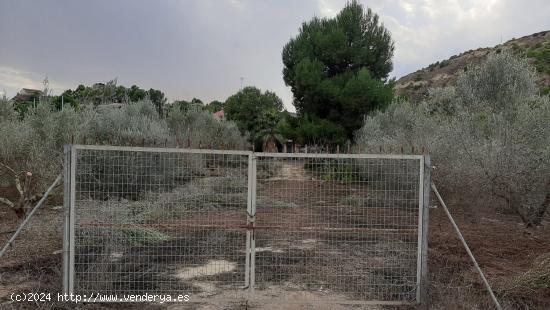  Casa con parcela  Camino de Los Puros - MURCIA 