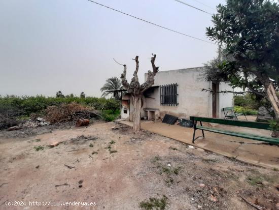 Parcela rustica con cuarto de aperos huerta de Beniajan - MURCIA